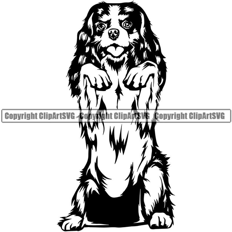 Cavalier King Charles Spaniel Begging Dog Canine K-9 K9 Puppy Pup Head Purebred Pedigree Animal Clipart SVG