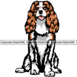 Cavalier King Charles Spaniel Color Body Sitting Dog Animal Cute Face Puppy Pup Head Purebred Pedigree Clipart SVG