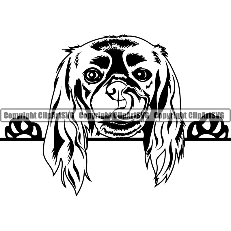 Cavalier King Charles Spaniel Dog Peeking Puppy Pup Head Purebred Pedigree Animal Portrait Doggy Face Cute Clipart SVG