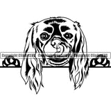 Cavalier King Charles Spaniel Dog Peeking Puppy Pup Head Purebred Pedigree Animal Portrait Doggy Face Cute Clipart SVG