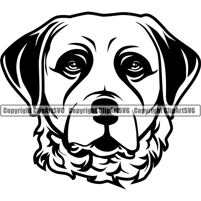 Chesapeake Bay Retriever Dog Head Design Canine K-9 Puppy Pup Head Purebred Pedigree Vector Clipart SVG