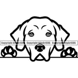 Chesapeake Bay Retriever Dog Peeking Puppy Pup Head Purebred Pedigree Canine K-9 K9 Animal Clipart SVG