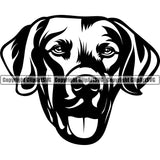 Chesapeake Bay Retriever Dog Puppy Pup Head Purebred Pedigree Animal Portrait Doggy Face Cute Breed Dog Clipart SVG