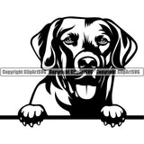 Chesapeake Bay Retriever Dog Doggy Face Vector Cute Peeking Dog Puppy Head Purebred Pedigree Clipart SVG