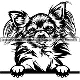 Chihuahua Dog Peeking Cute Face Animal Puppy Head Purebred Pup Pedigree Portrait Doggy Clipart SVG