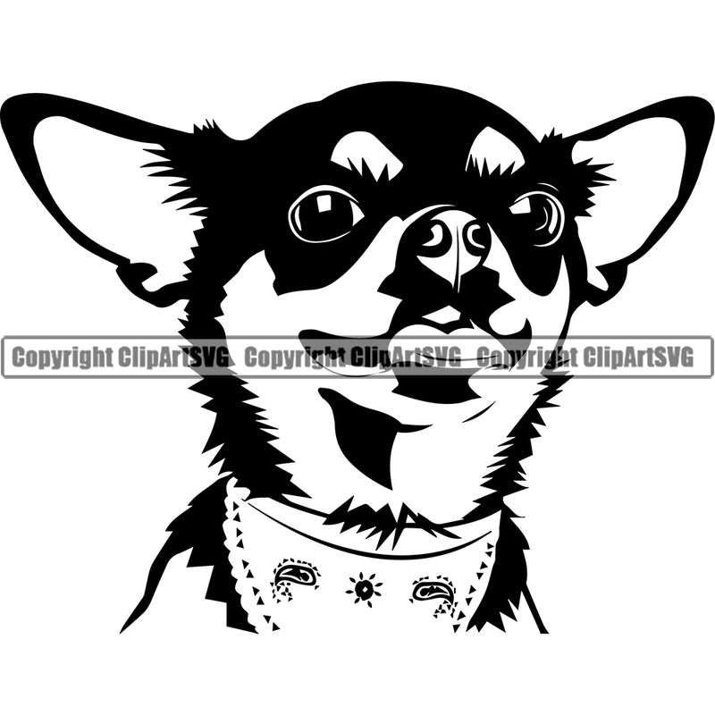 Chihuahua Dog Head Puppy Pup Purebred Pedigree Animal Portrait Doggy Face Cute K9 Clipart SVG