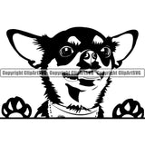 Chihuahua Dog Peeking Cute Face Animal Puppy Pup Head Purebred Pedigree Canine K-9 K9 Clipart SVG