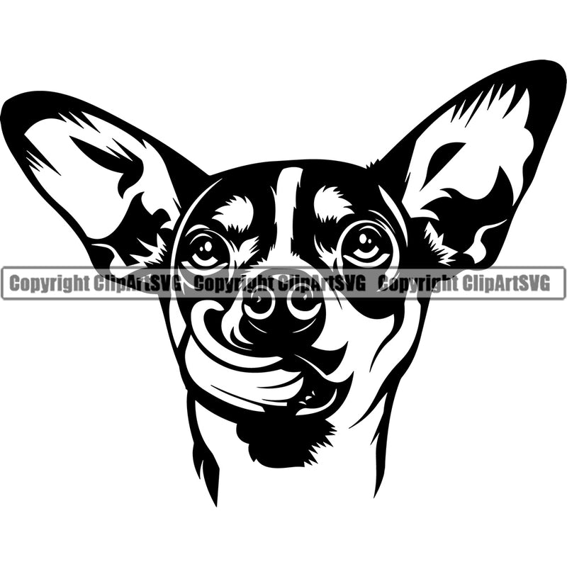 Chihuahua Dog Cute Pup Head Purebred Pedigree Canine K-9 K9 Animal Portrait Doggy Clipart SVG