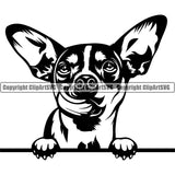 Chihuahua Dog Peeking Puppy Vector Pup Head Purebred Pedigree Canine K-9 K9 Animal Portrait Clipart SVG