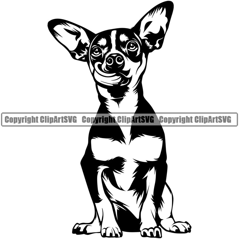 Chihuahua Dog Sitting Design Vector Canine K-9 K9 Animal Puppy Pup Head Purebred Pedigree Cute Face Clipart SVG