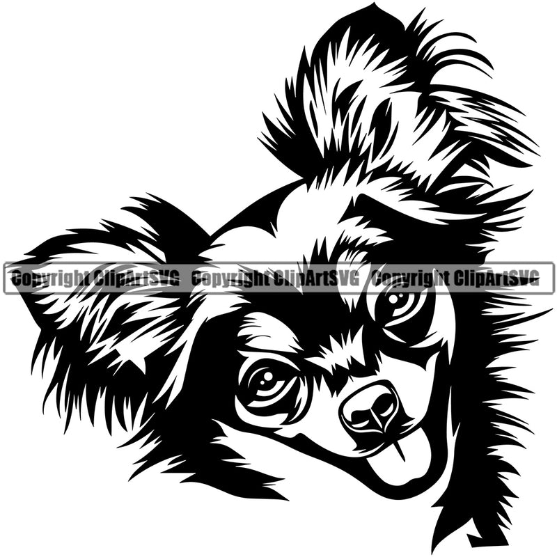 Chihuahua Dog Cute Face Design Puppy Pup Head Purebred Pedigree Canine K-9 K9 Animal Portrait Clipart SVG