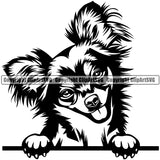 Chihuahua Dog Peeking Canine K-9 K9 Animal Portrait Puppy Pup Head Purebred Pedigree Doggy Clipart SVG