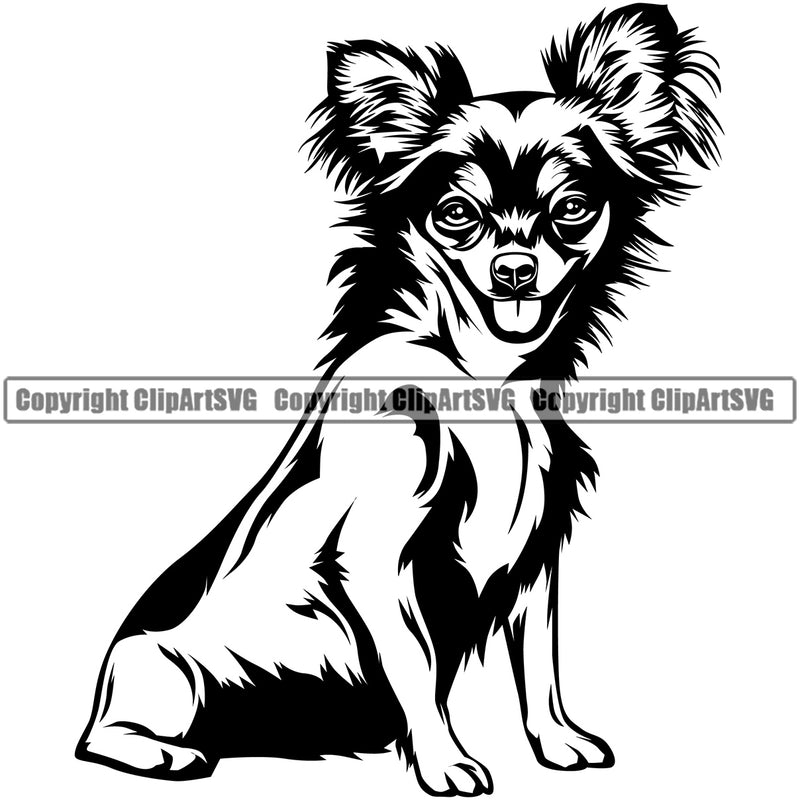 Chihuahua Dog Sitting Cute Face Puppy Vector Pup Purebred Pedigree K9 Animal Portrait Doggy Design Clipart SVG