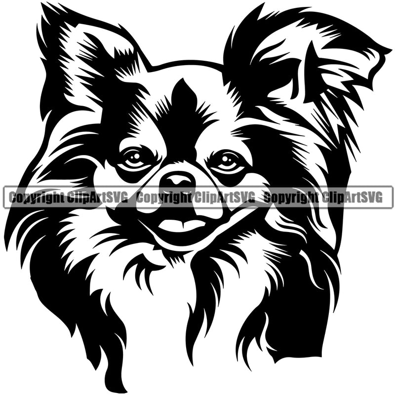 Chihuahua Dog Puppy Head Vector Purebred Pedigree K9 Animal Portrait Doggy Face Cute Design Clipart SVG