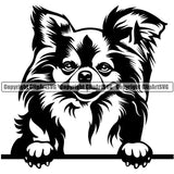 Chihuahua Dog Peeking Puppy Vector Pup Head Purebred Pedigree Canine K-9 K9 Animal Portrait Clipart SVG