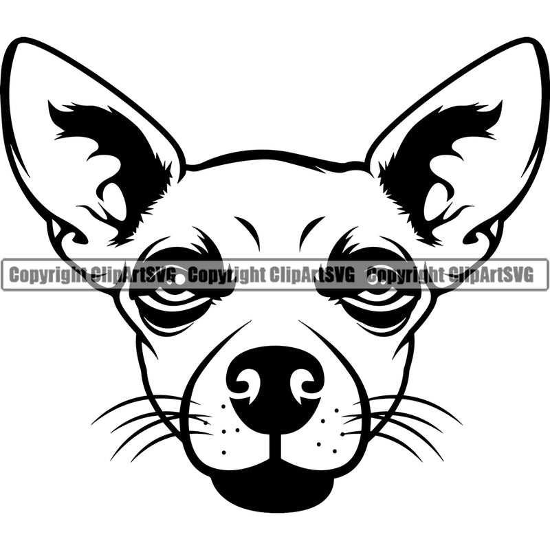 Chihuahua Dog Head Design Puppy Pup Head Purebred Pedigree K9 Animal Portrait Doggy Face Cute Clipart SVG