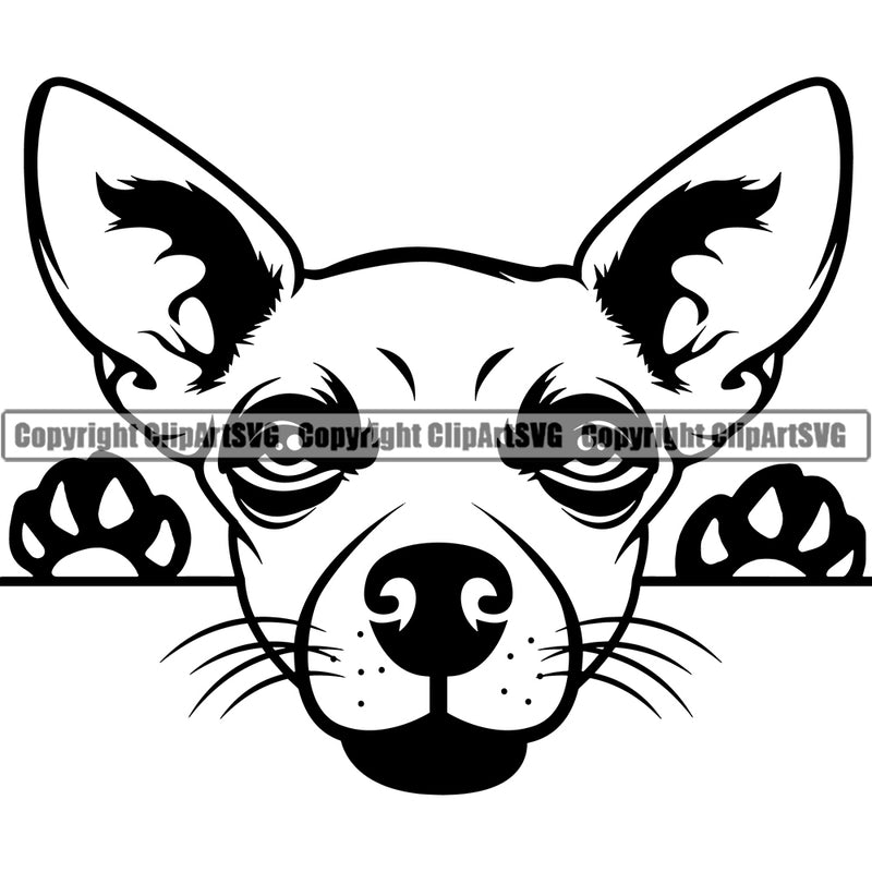 Chihuahua Dog Peeking Vector Puppy Pup Chihuahua Funny Dog Cute Chihuahua Vector Art Digital Design Artwork ClipArt SVG