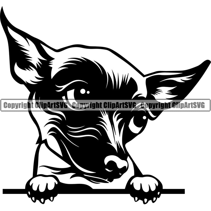 Chihuahua Dog Peeking Puppy Head Purebred Pup Pedigree Canine K-9 K9 Animal Portrait Doggy Face Clipart SVG