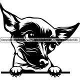 Chihuahua Dog Peeking Puppy Head Purebred Pup Pedigree Canine K-9 K9 Animal Portrait Doggy Face Clipart SVG