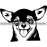 Chihuahua Dog Puppy Head Purebred Pup Pedigree Animal Portrait Doggy Face Cute Clipart SVG