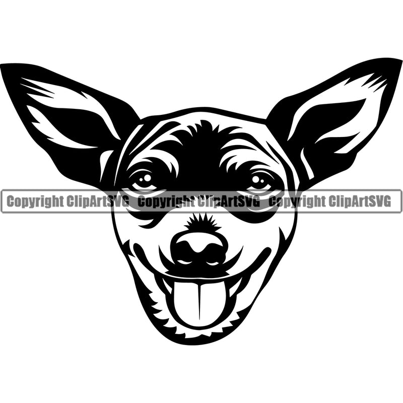 Chihuahua Dog Head Puppy Head Purebred Pup Pedigree Canine K-9 K9 Animal Portrait Clipart SVG