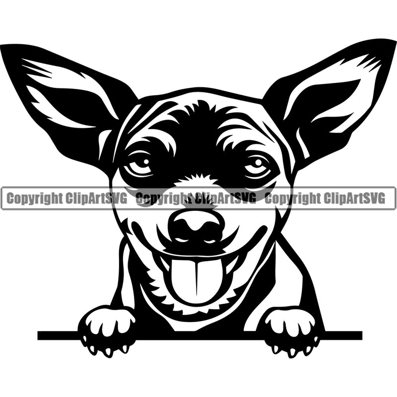 Chihuahua Dog Peeking Canine K-9 K9 Animal Portrait  Puppy Head Purebred Pup Pedigree Clipart SVG