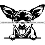 Chihuahua Dog Peeking Canine K-9 K9 Animal Portrait  Puppy Head Purebred Pup Pedigree Clipart SVG