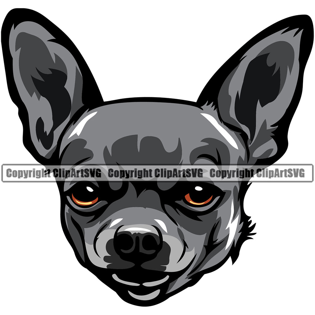 Chihuahua Dog Black Color Puppy Head Purebred Pup Pedigree Canine K-9 K9 Animal Clipart SVG