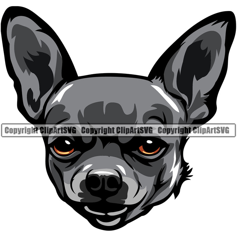 Chihuahua Dog Black Color Puppy Head Purebred Pup Pedigree Canine K-9 K9 Animal Clipart SVG
