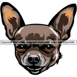 Chihuahua Dog Brown Color Puppy Head Purebred Pup Pedigree Animal Portrait Doggy Face Cute Clipart SVG