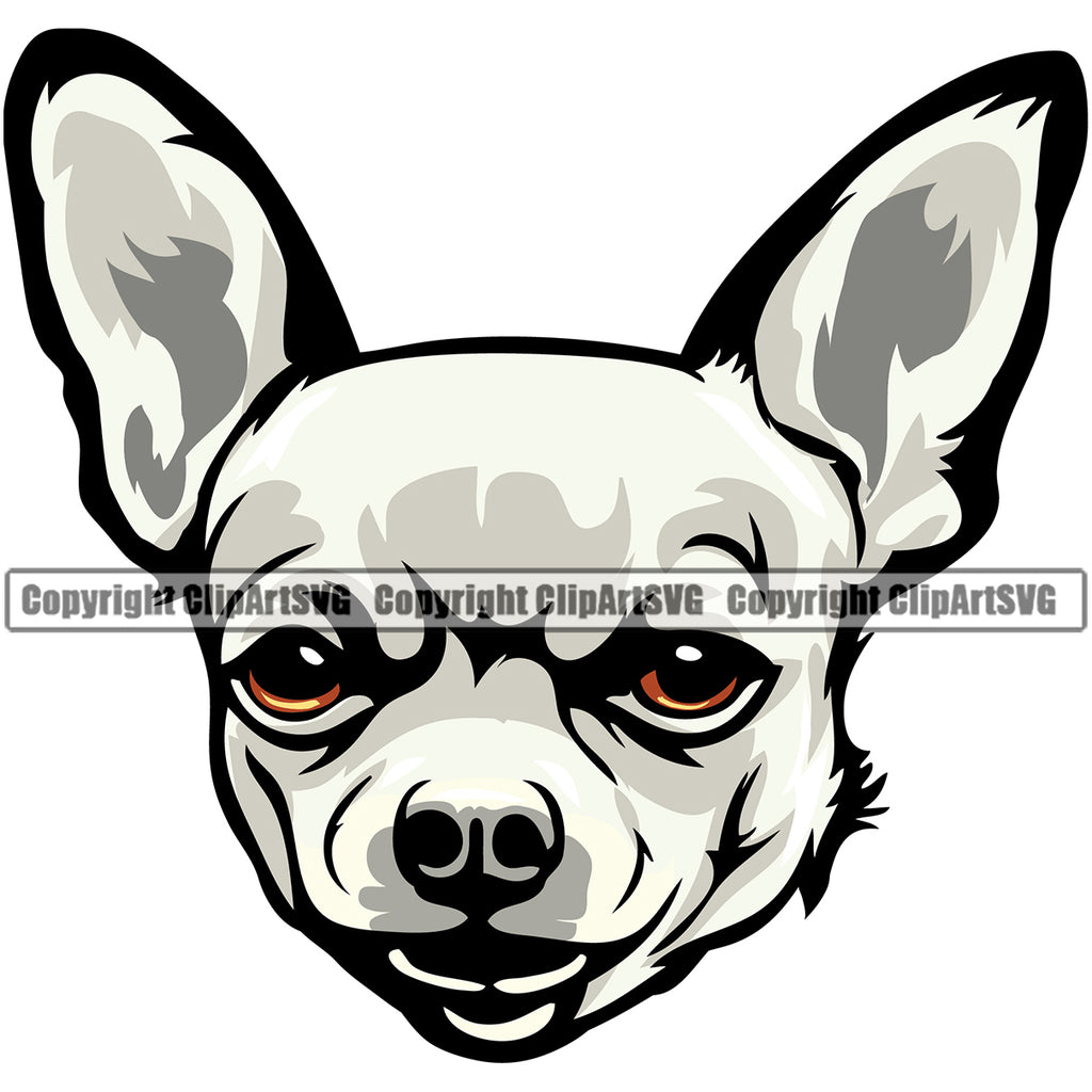 Chihuahua Dog White Color Puppy Head Purebred Pup Pedigree Animal Portrait Doggy Face Cute Clipart SVG