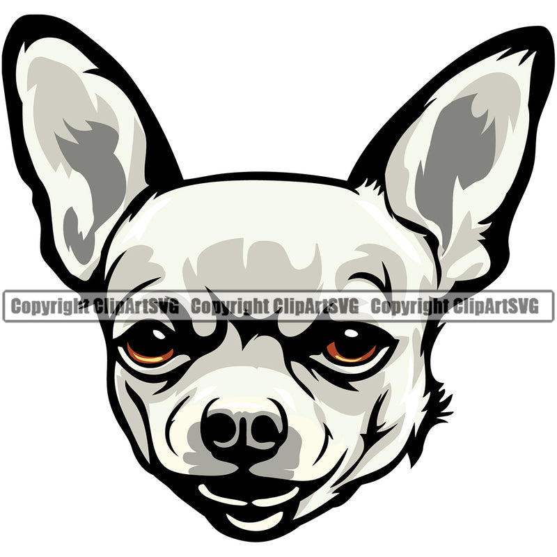 Chihuahua Dog White Color Puppy Head Purebred Pup Pedigree Animal Portrait Doggy Face Cute Clipart SVG