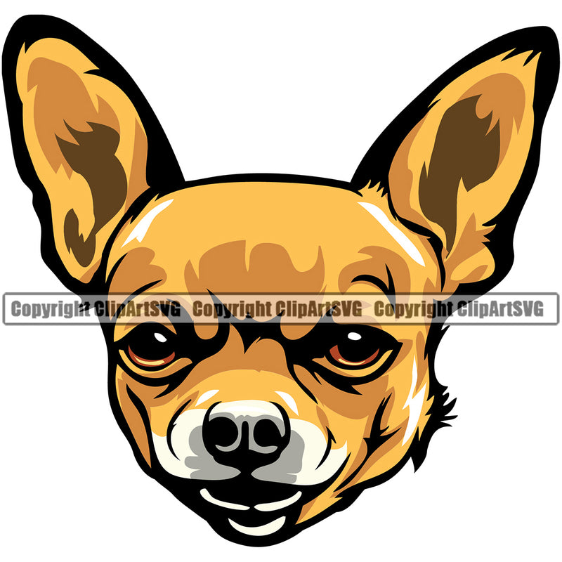 Chihuahua Dog Yellow Color Puppy Head Purebred Pup Pedigree Canine K-9 K9 Animal Clipart SVG
