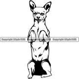 Chihuahua Dog Begging Puppy Head Purebred Pup Pedigree K9 Animal Portrait Doggy Face Cute Clipart SVG