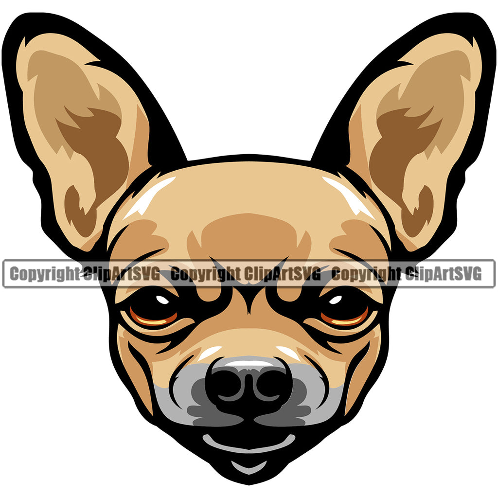 Chihuahua Dog Color Head Puppy Head Purebred Pup Pedigree Animal Portrait Doggy Face Cute Clipart SVG