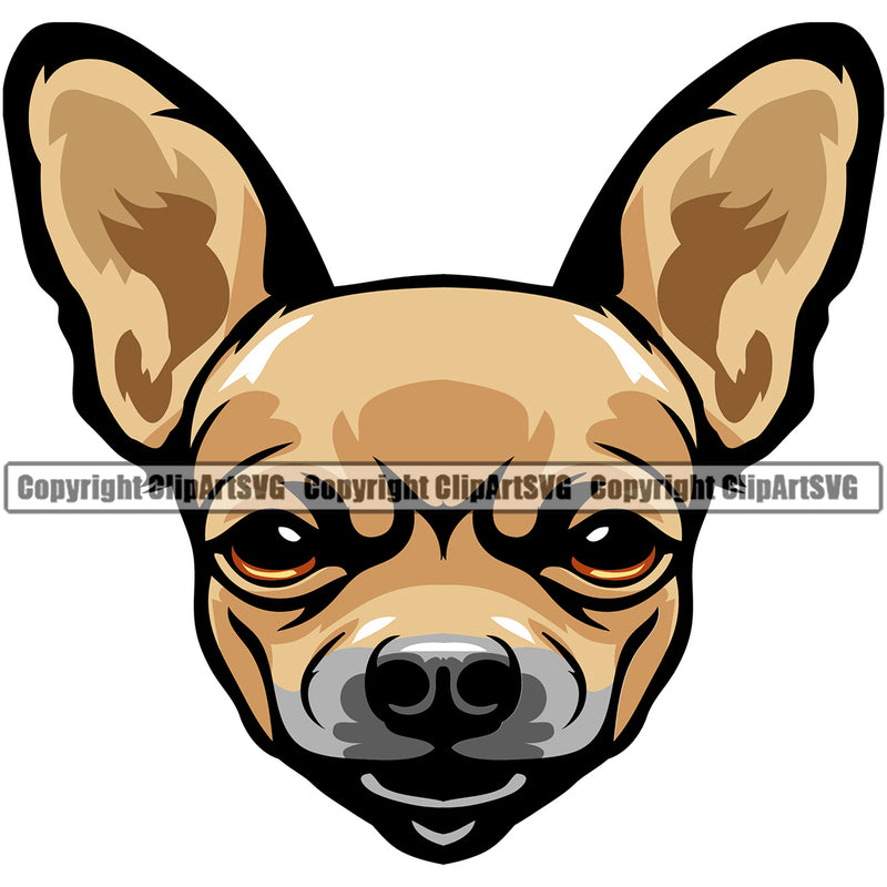 Chihuahua Dog Color Head Puppy Head Purebred Pup Pedigree Animal Portrait Doggy Face Cute Clipart SVG