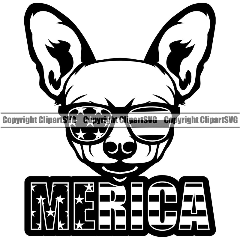 Chihuahua Dog Wearing Sunglasses Merica Text Puppy Head Purebred Pup Pedigree K9 Animal Portrait Doggy Face Cute Clipart SVG