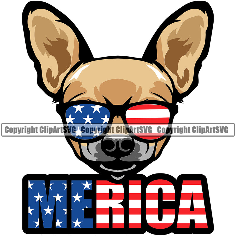 Chihuahua Dog Wearing Sunglasses Color Puppy Head Purebred Pup Pedigree K9 Animal Portrait Doggy Face Cute Clipart SVG