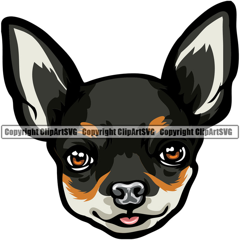 Chihuahua Dog Black Color Portrait Doggy Face Cute Puppy Head Purebred Pup Pedigree Animal Clipart SVG