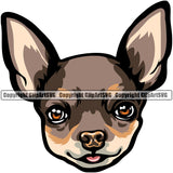 Chihuahua Dog Color Head Puppy Head Purebred Pup Pedigree K9 Animal Portrait Doggy Face Cute Clipart SVG