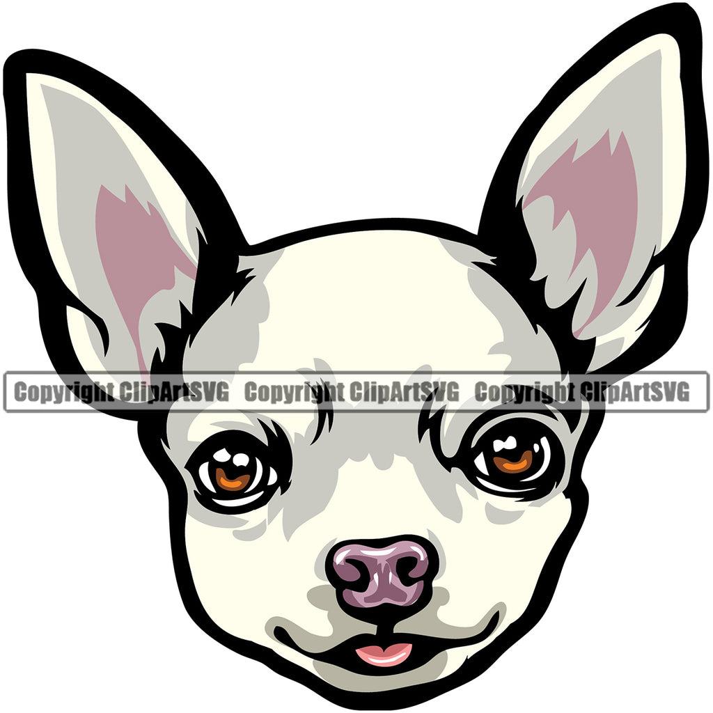 Chihuahua Dog Puppy Head Purebred White Pedigree K9 Animal Portrait Doggy Face Cute Clipart SVG