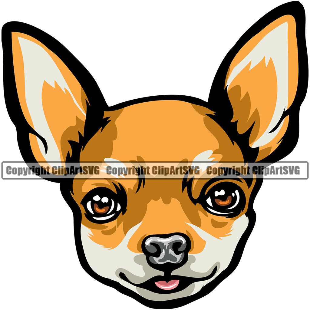 Chihuahua Dog Yellow Color Puppy Head Purebred Pup Pedigree K9 Animal Portrait Doggy Face Cute Clipart SVG