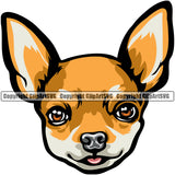 Chihuahua Dog Yellow Color Puppy Head Purebred Pup Pedigree K9 Animal Portrait Doggy Face Cute Clipart SVG