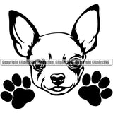 Chihuahua Dog Peeking Puppy Head Purebred Pup Pedigree Portrait Doggy Face Cute Clipart SVG