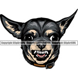 Chihuahua Dog Black Color Head Puppy Head Purebred Pup Pedigree K9 Animal Portrait Doggy Face Cute Clipart SVG