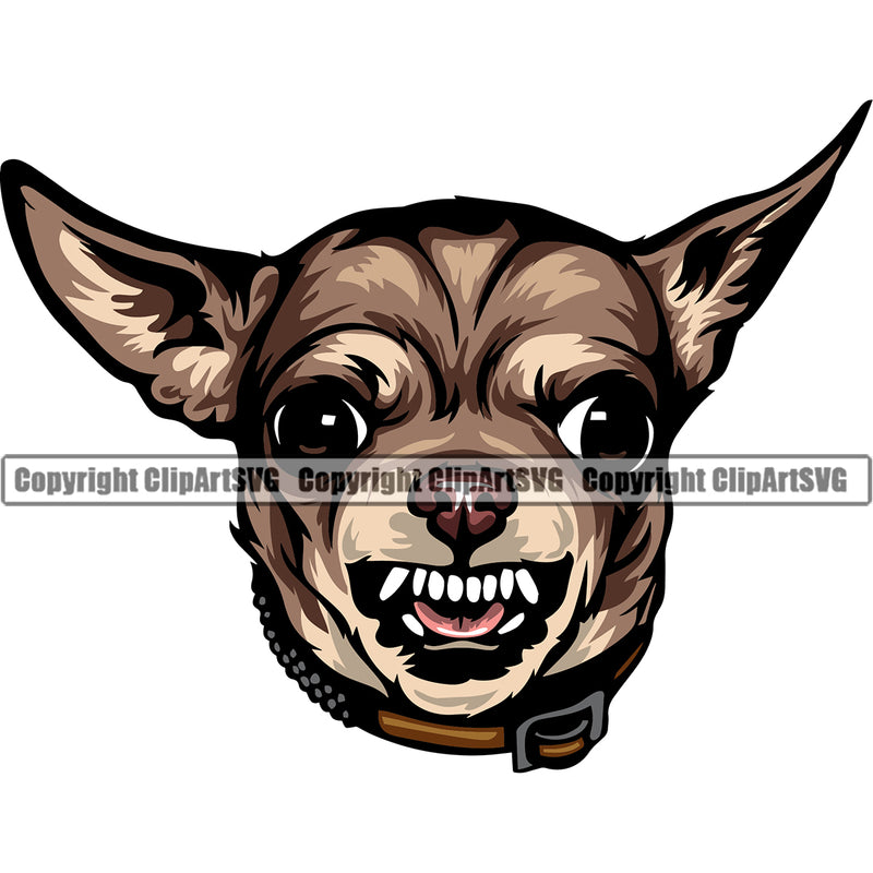Chihuahua Dog Brown Color Puppy Head Purebred Pup Pedigree Canine K-9 K9 Animal Portrait Vector Clipart SVG