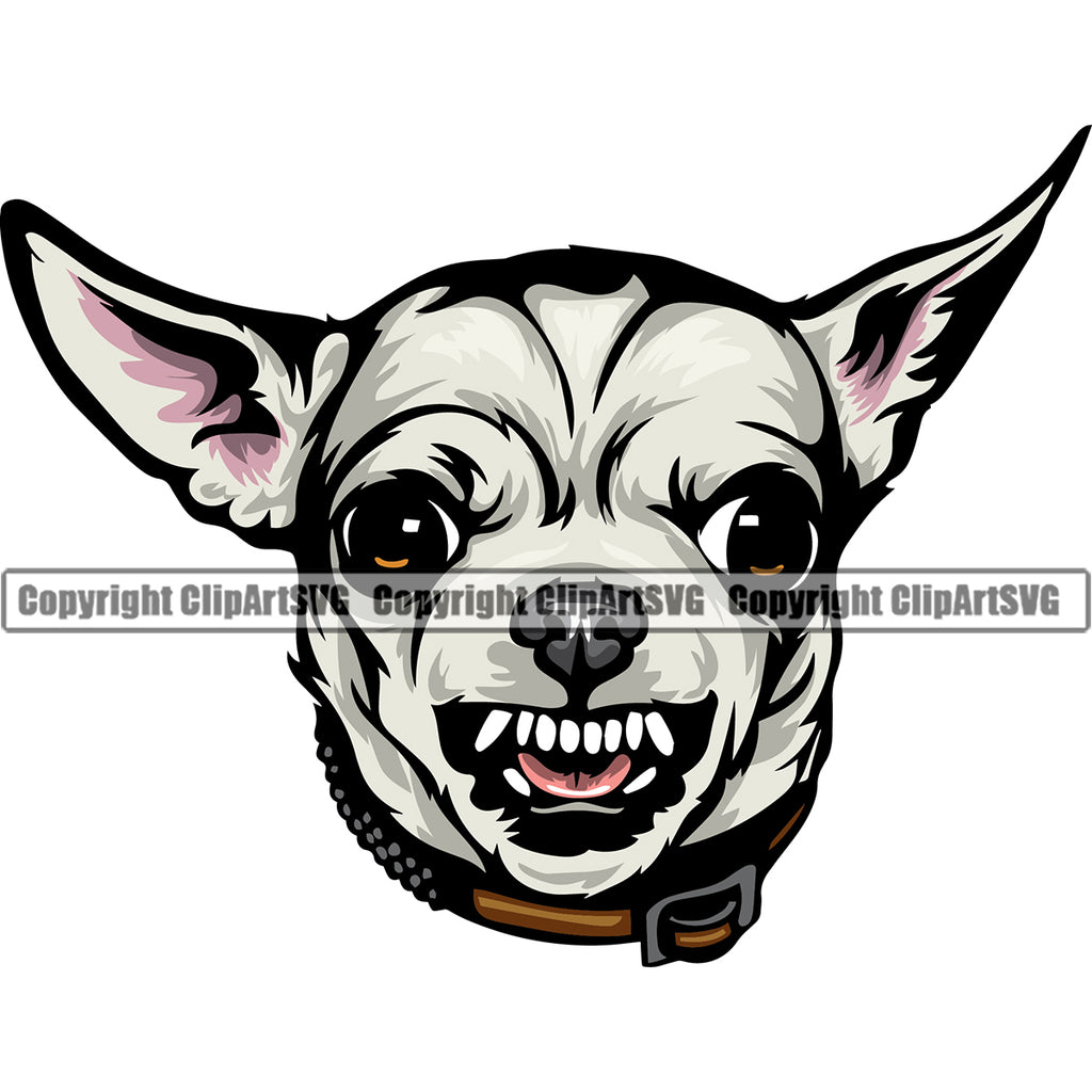 Chihuahua Dog White Color Head Puppy Head Purebred Pup Pedigree K9 Animal Portrait Doggy Face Cute Clipart SVG