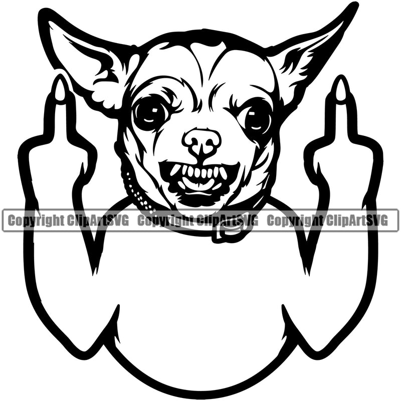 Chihuahua Dog Show Middle Finger Puppy Head Purebred Pup Pedigree Animal Portrait Doggy Face Cute Clipart SVG
