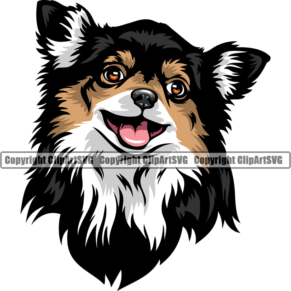 Chihuahua Dog Black Color Head Animal Portrait Doggy Face Cute Vector Head Purebred Pup Pedigree Clipart SVG