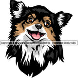 Chihuahua Dog Black Color Head Animal Portrait Doggy Face Cute Vector Head Purebred Pup Pedigree Clipart SVG